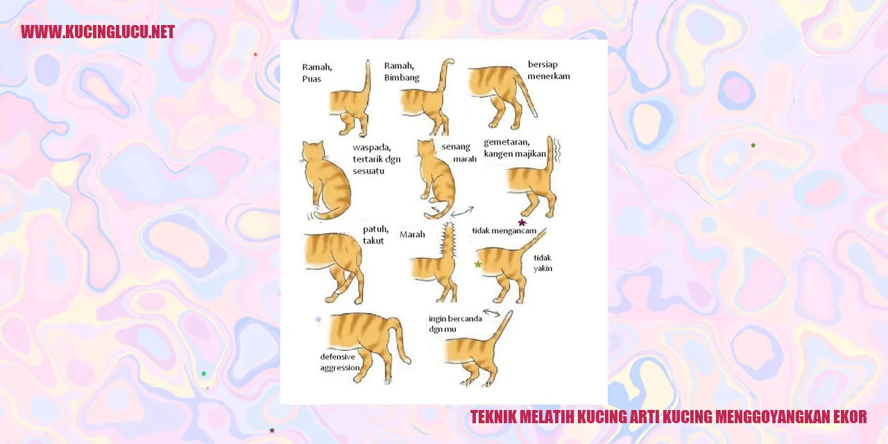 Teknik Membina Kucing