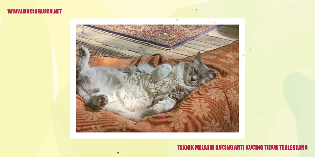 Gambar Kucing Tertidur Terlentang