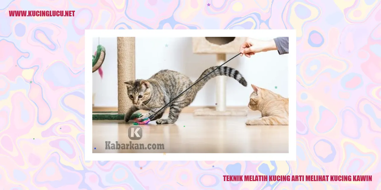 Gambar kucing sedang kawin