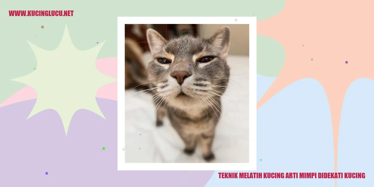Teknik Melatih Kucing