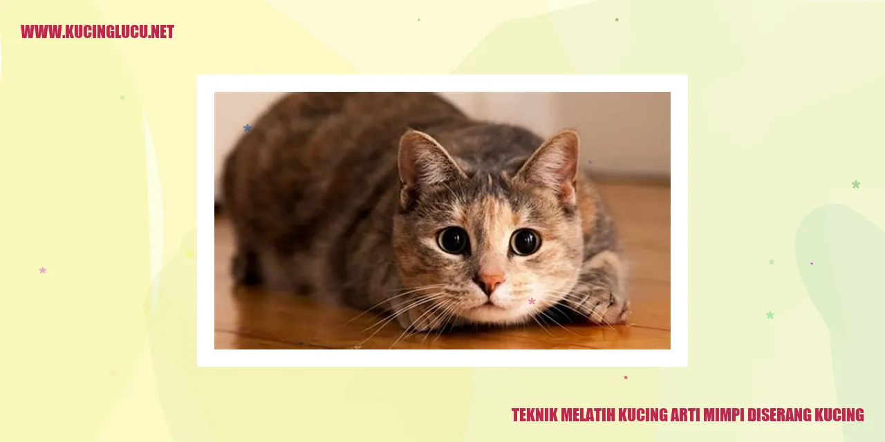 Gambar kucing yang menggigit