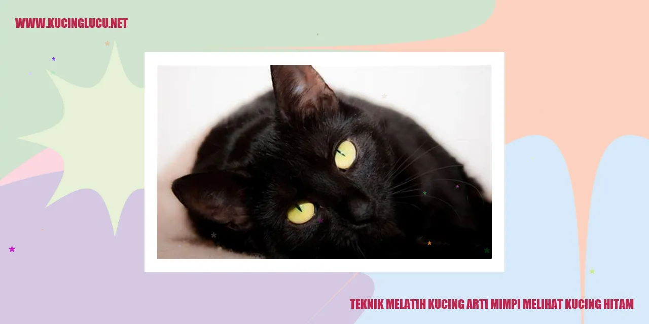 Gambar kucing hitam