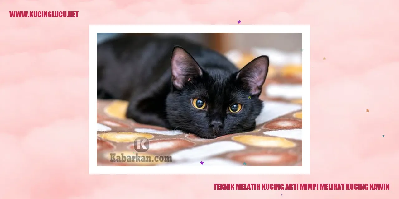 foto kucing