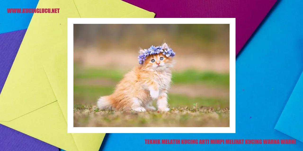 Kucing warna warni