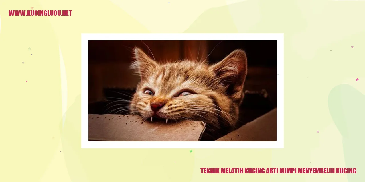 Gambar Kucing yang Menggemaskan