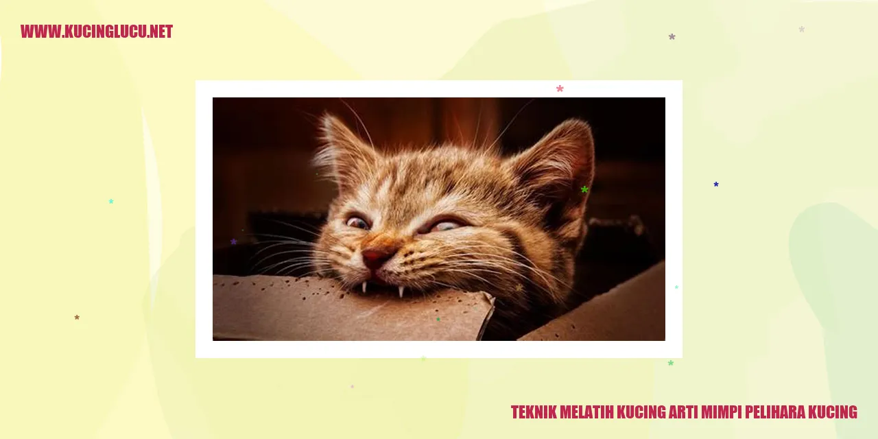 gambar kucing