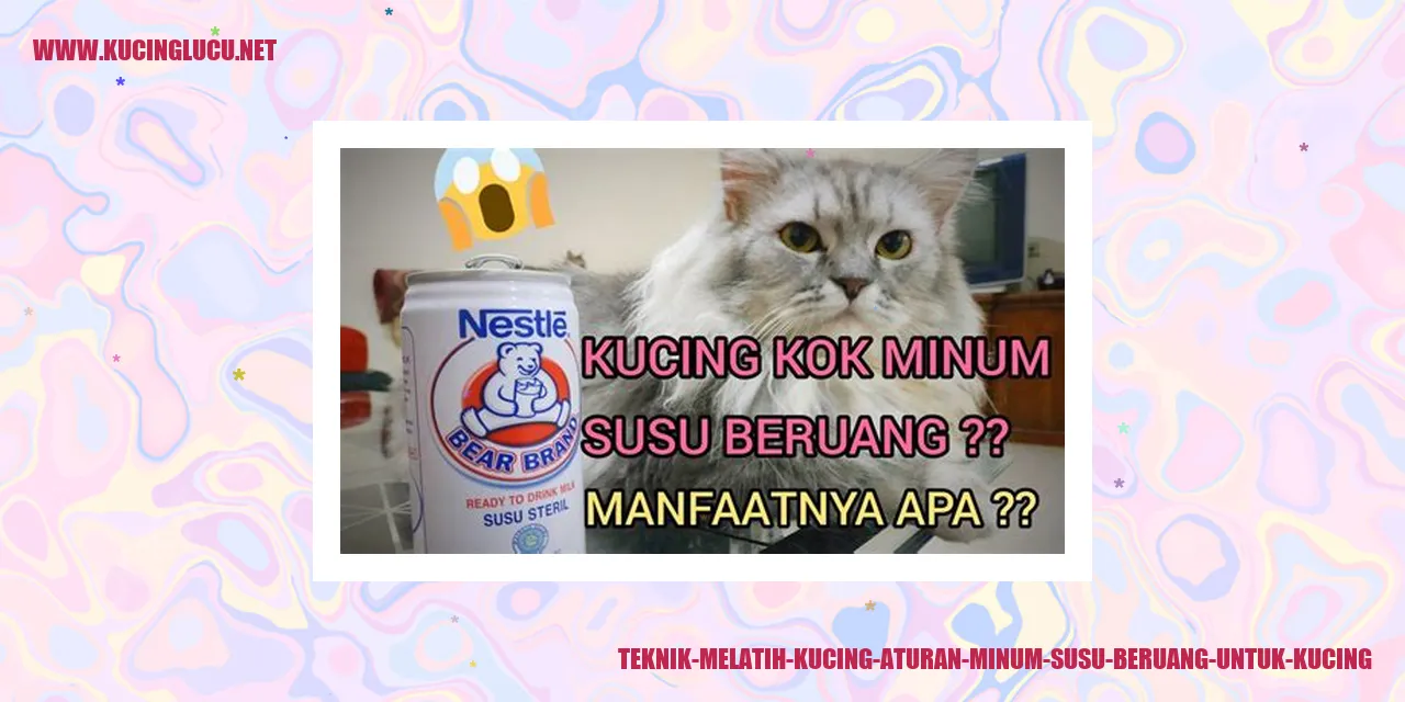 Teknik Melatih Kucing