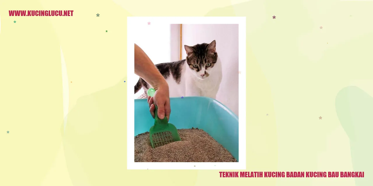 Gambar Kucing