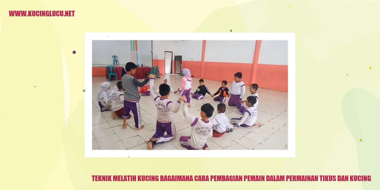 Teknik Melatih Kucing