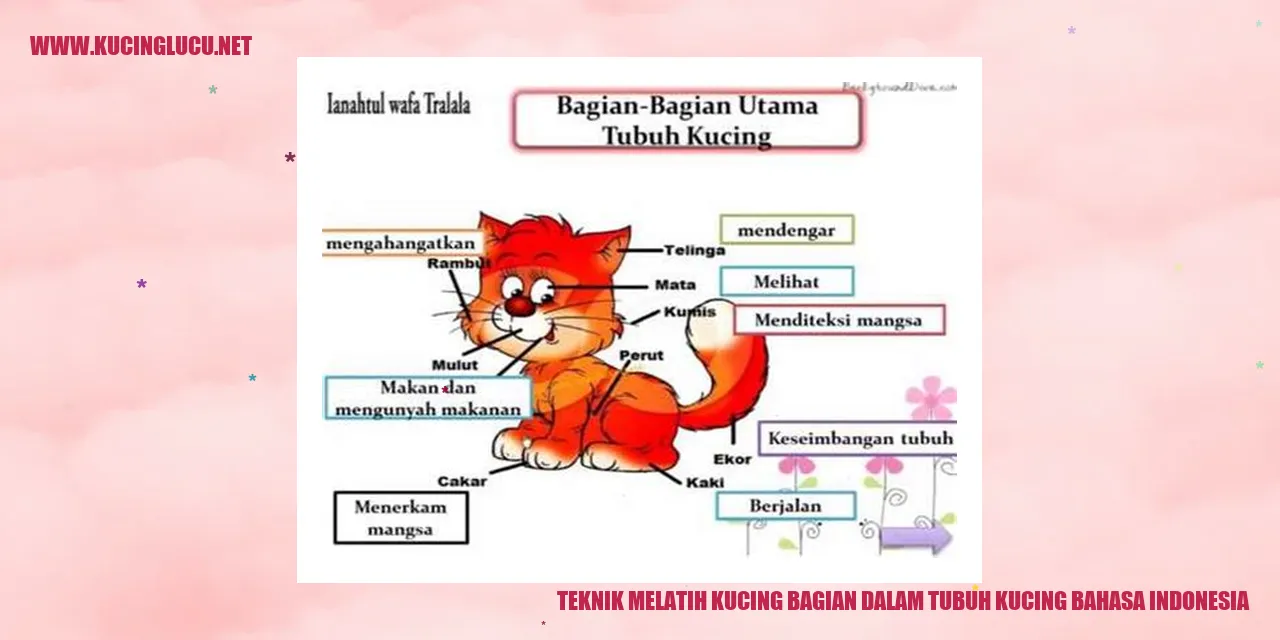 Gambar Kucing