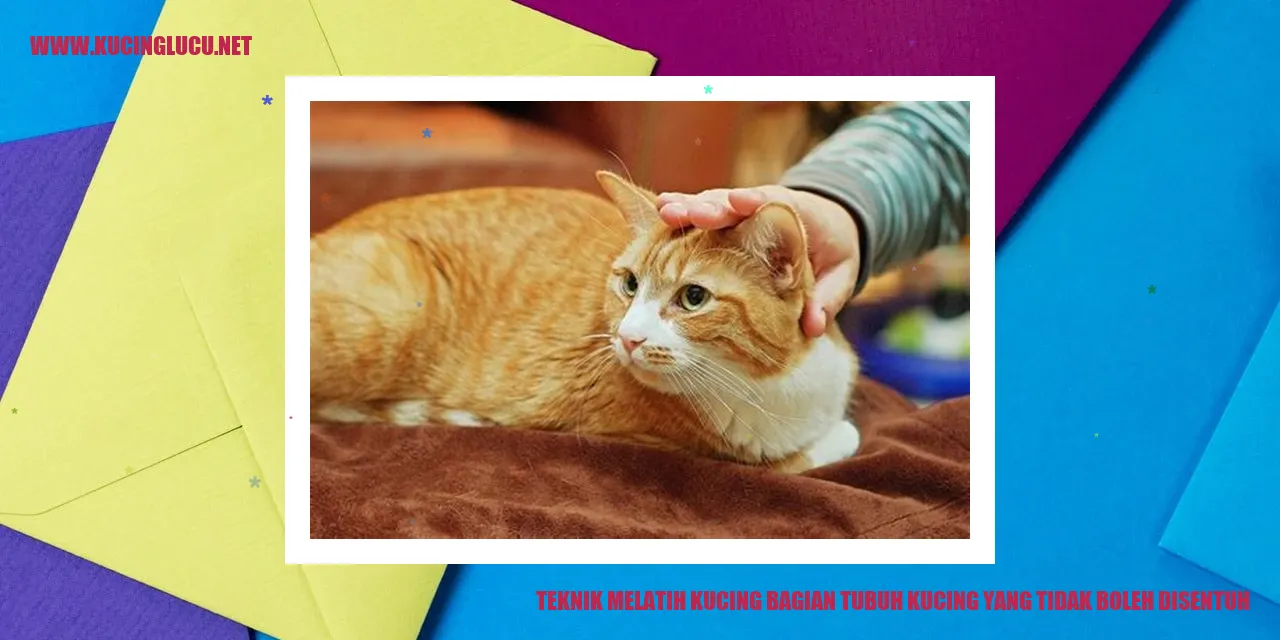 Teknik Melatih Kucing