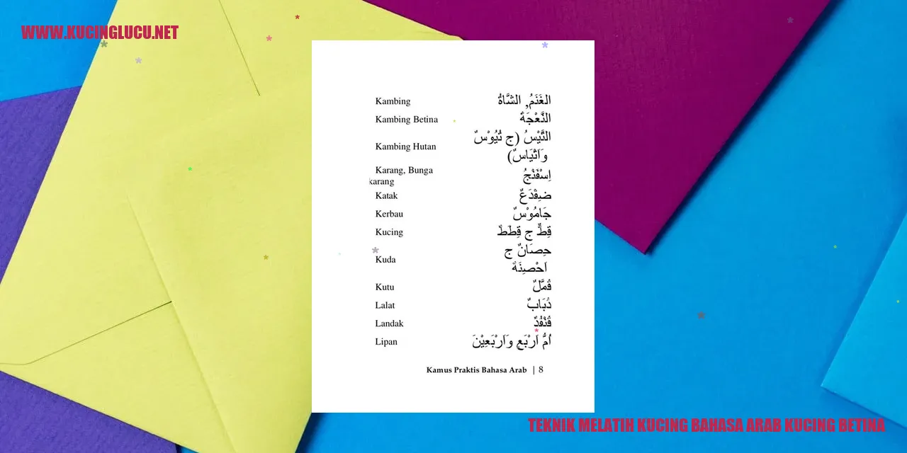 Teknik Melatih Kucing bahasa arab kucing betina
