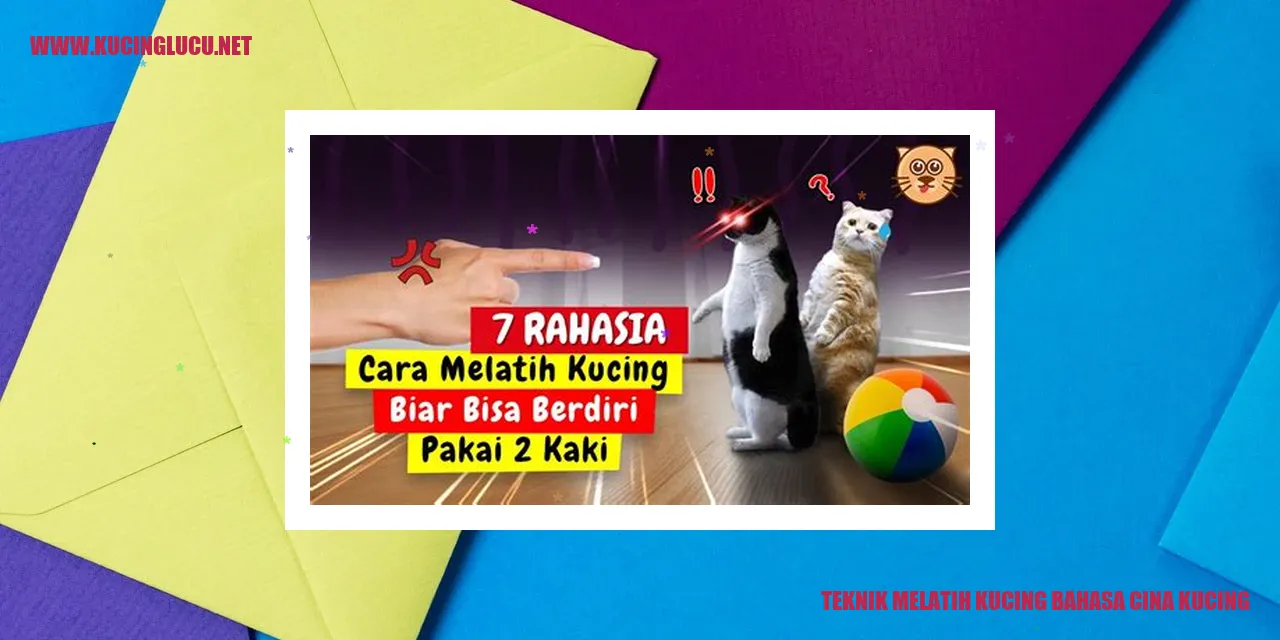 Gambar Kucing