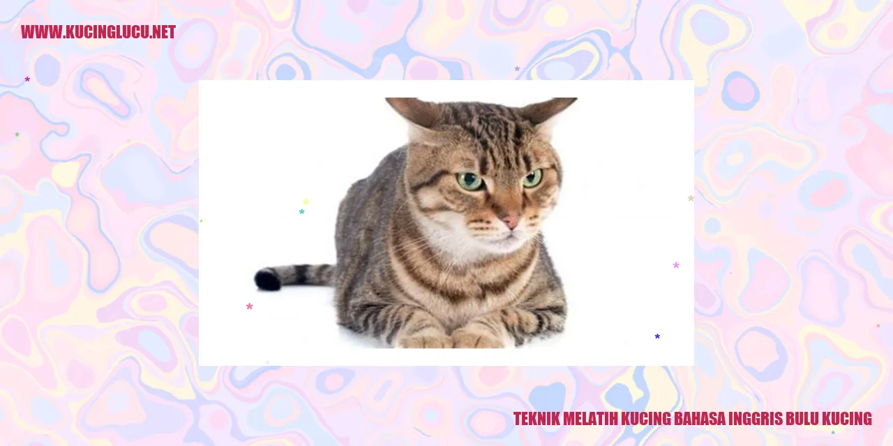 Gambar Kucing dengan Bulu yang Sehat