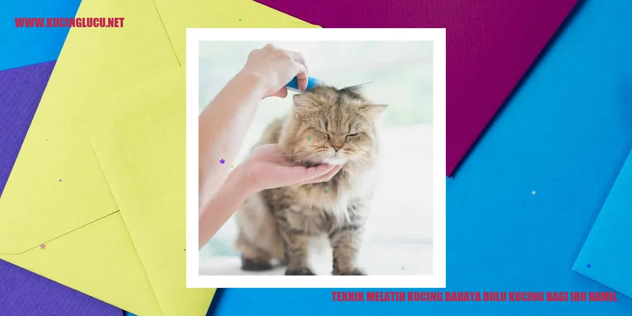 Gambar kucing yang menarik