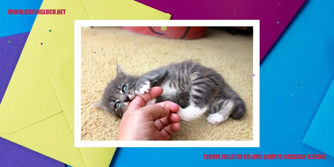 Ilustrasi Kucing