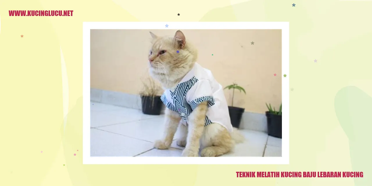 gambar kucing mengenakan baju lebaran