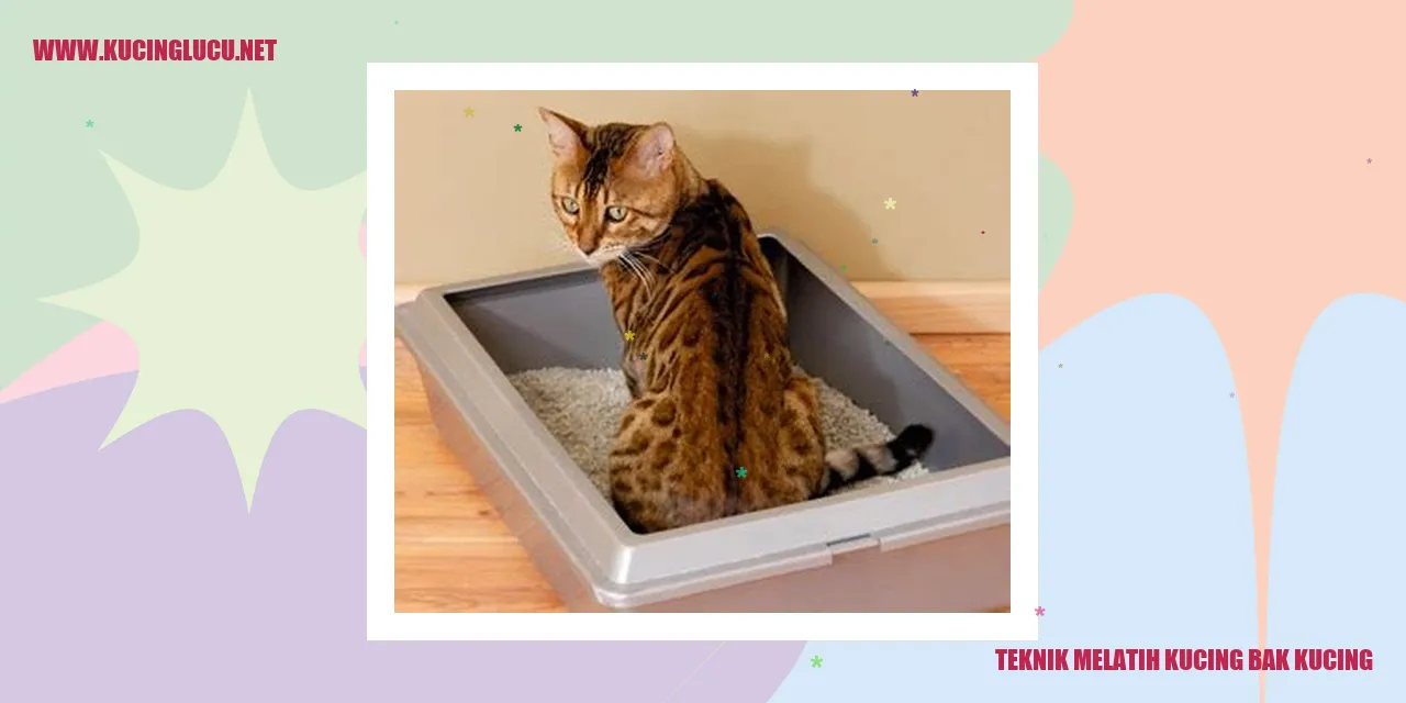 Kucing Bak Kucing