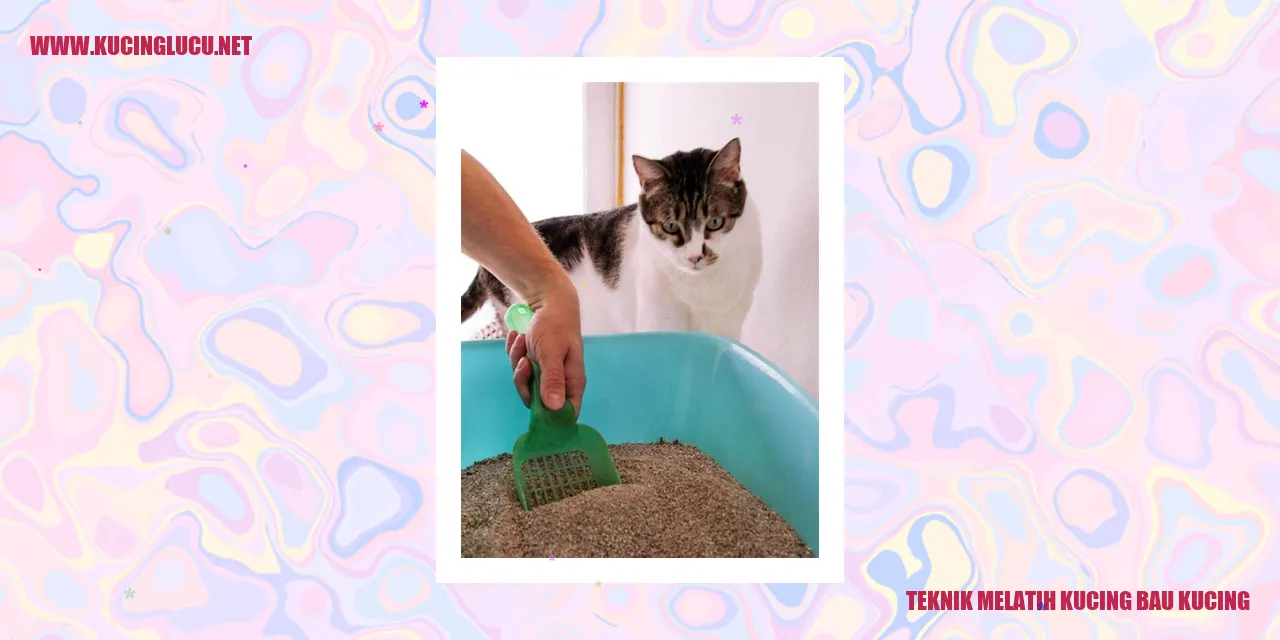 Kucing yang Bersih
