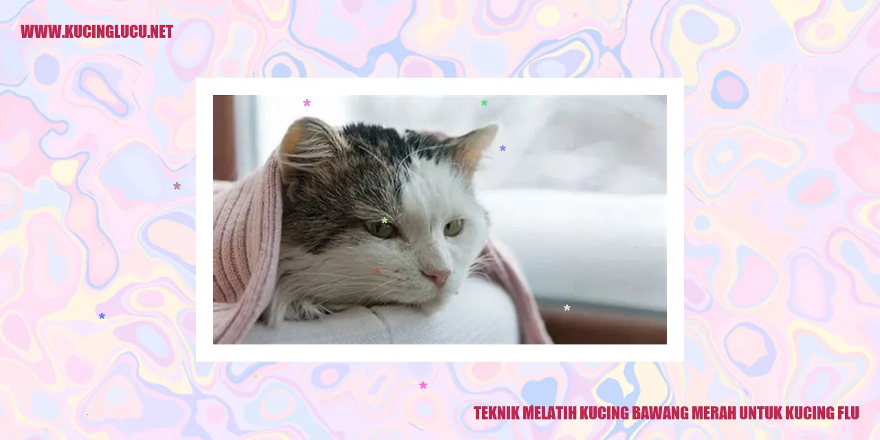 Gambar kucing yang sedang flu