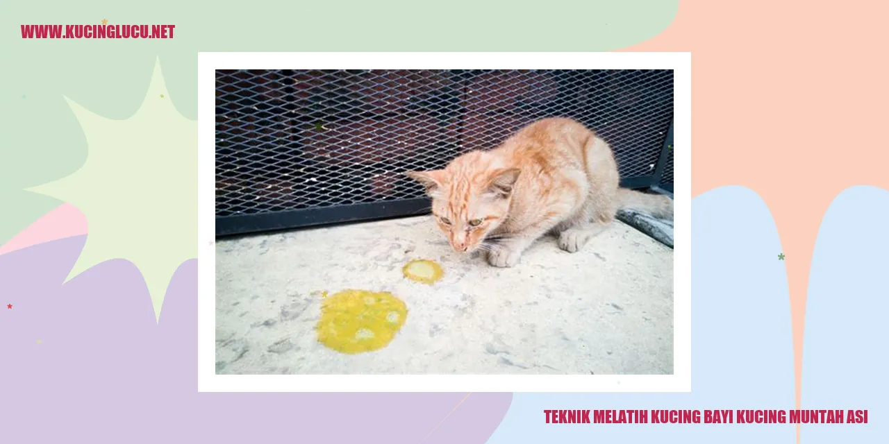 gambar kucing bayi