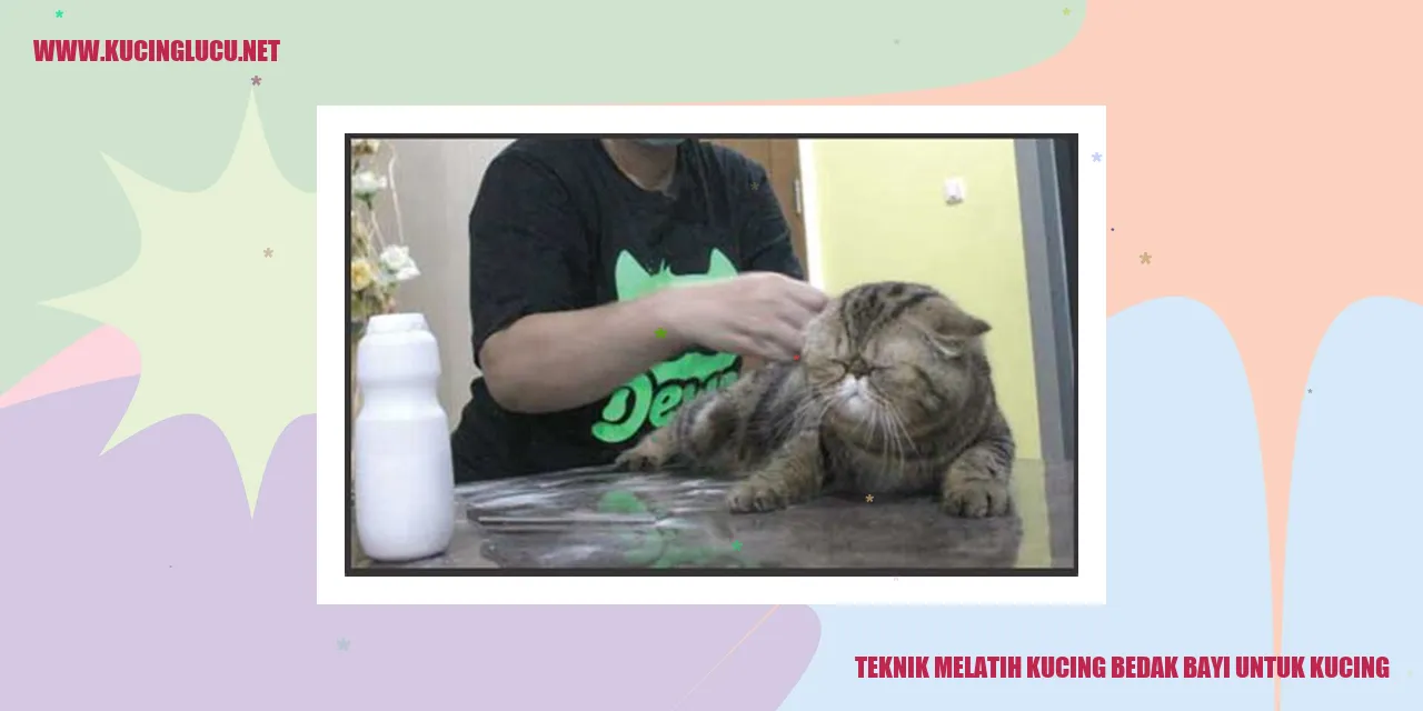 Kucing Menggemaskan yang Menggunakan Bedak Bayi