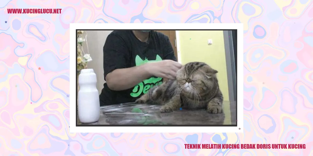 gambar kucing