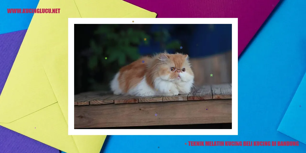 Teknik Melatih Kucing