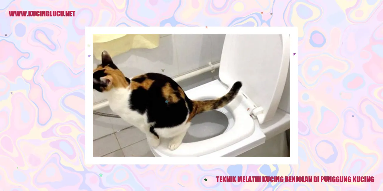 Kucing Pembengkakan di Punggung