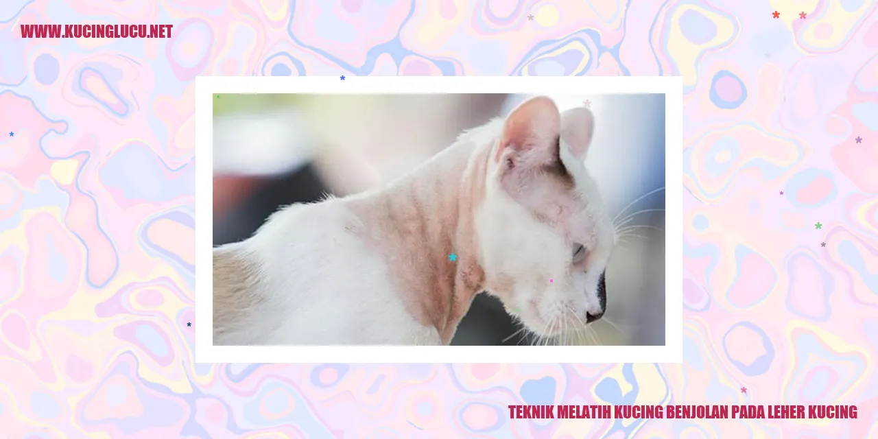 Foto Kucing dengan benjolan pada leher