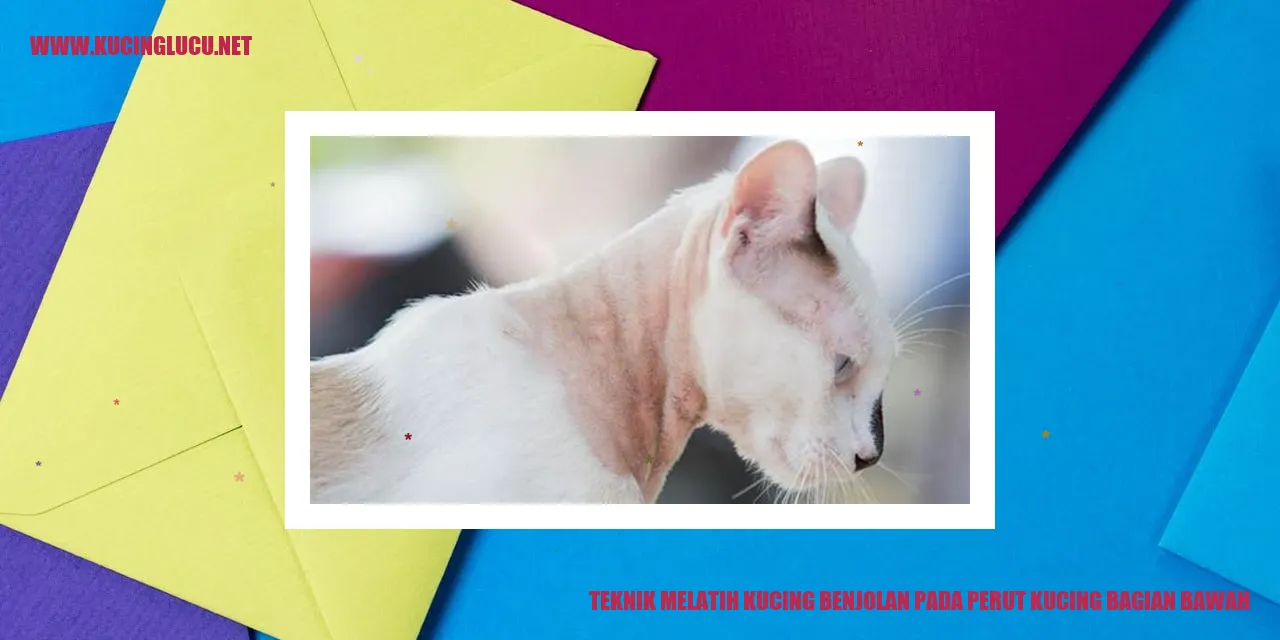 Gambar kucing