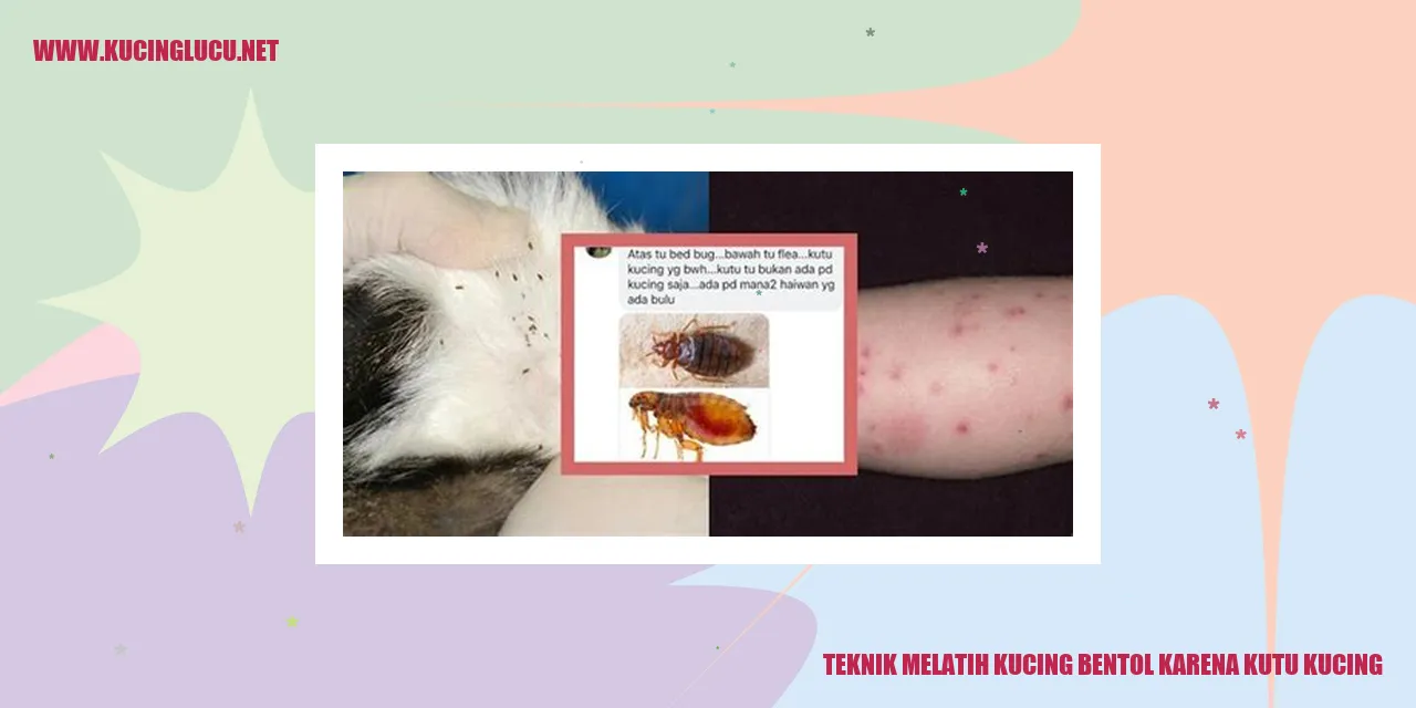 Gambar kucing menggaruk diri akibat kutu kucing