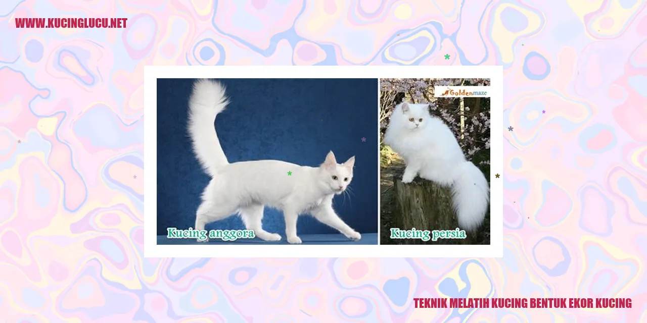 Gambar kucing sedang melatih bentuk ekornya