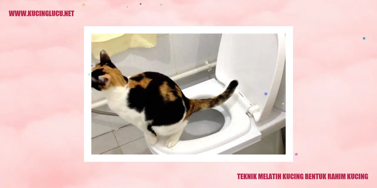Gambar melatih kucing