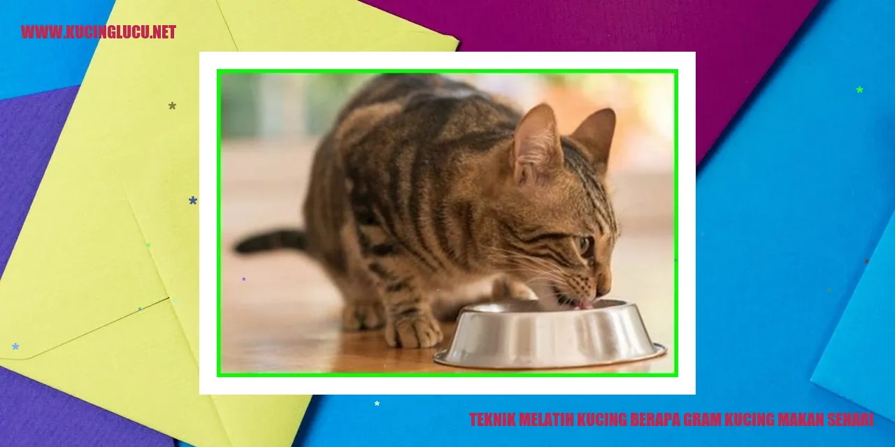 Gambar Kucing Sehat