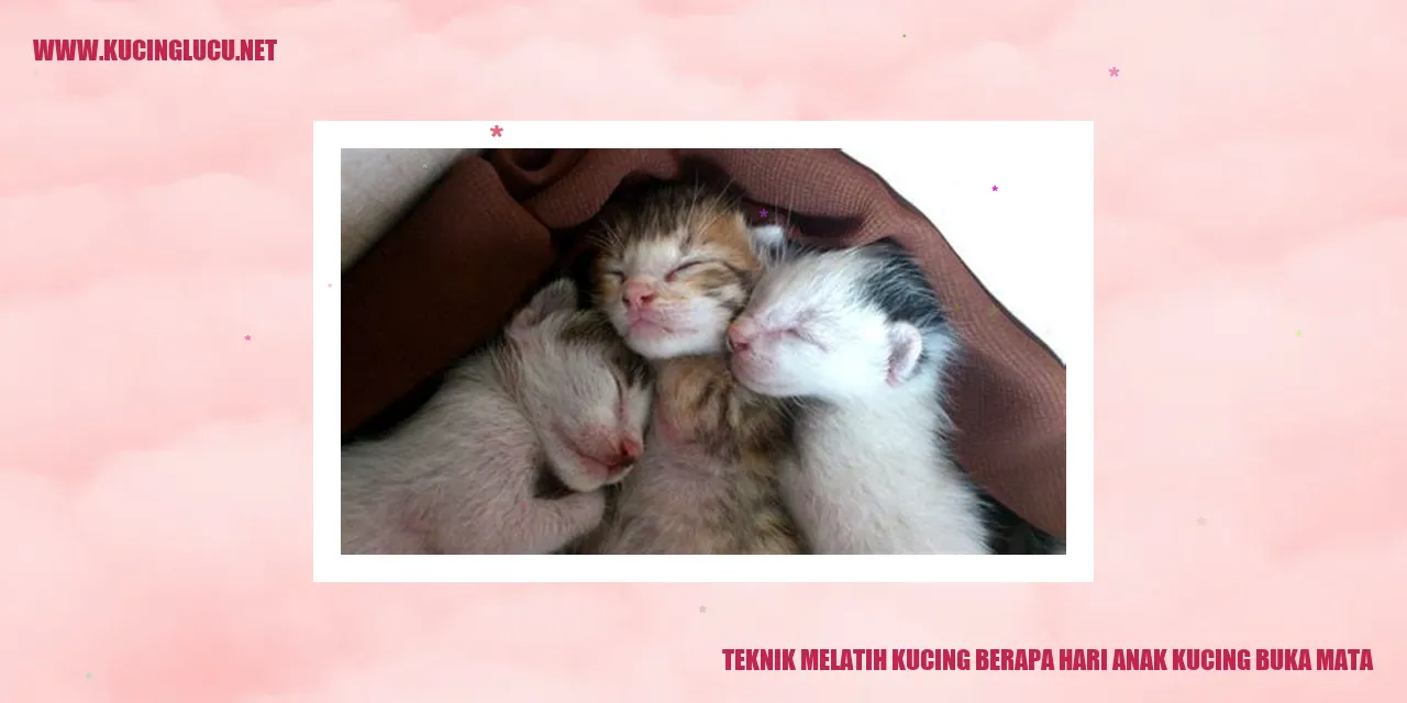 Gambar kucing dengan mata terbuka