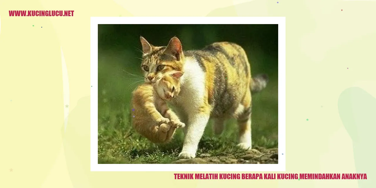 Gambar Kucing dan Anaknya