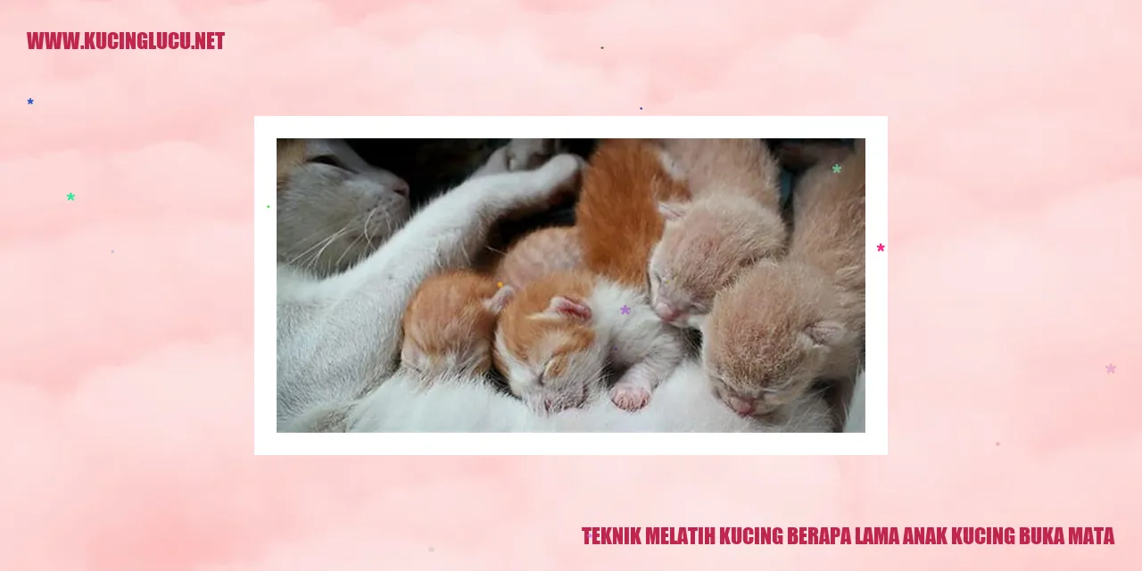Teknik Melatih Kucing berapa lama anak kucing buka mata