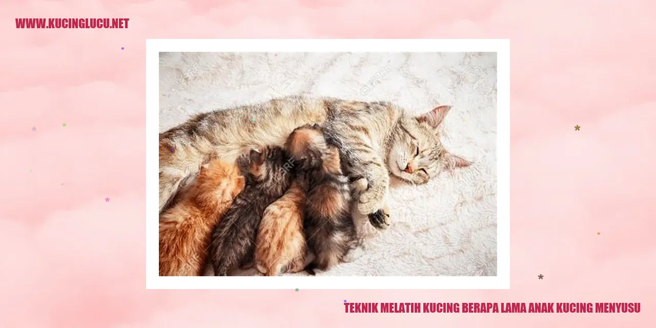 Ilustrasi Anak Kucing Menyusu
