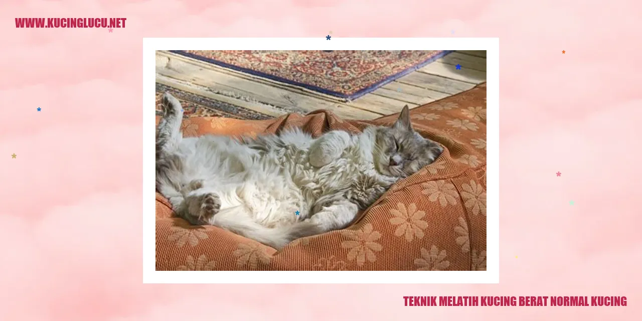 Gambar Kucing yang Mengikuti Teknik ini