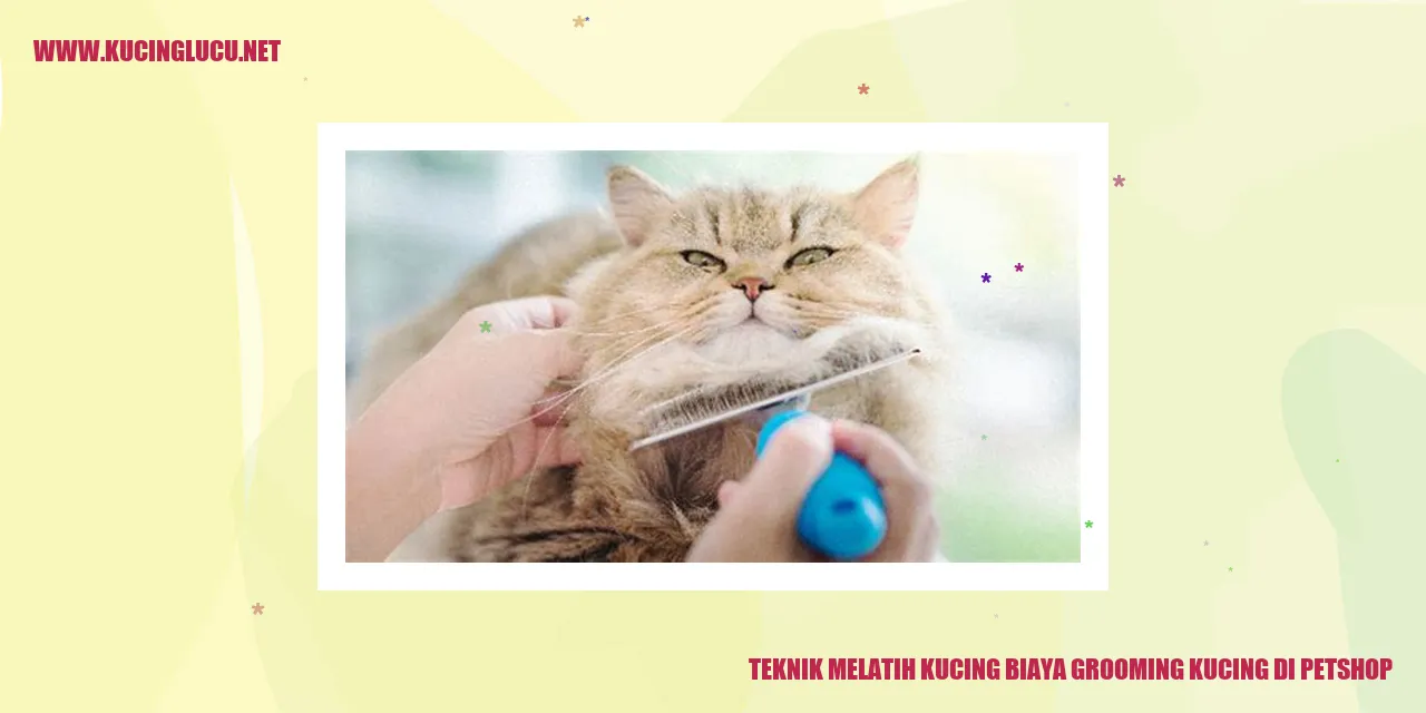Gambar grooming kucing di petshop