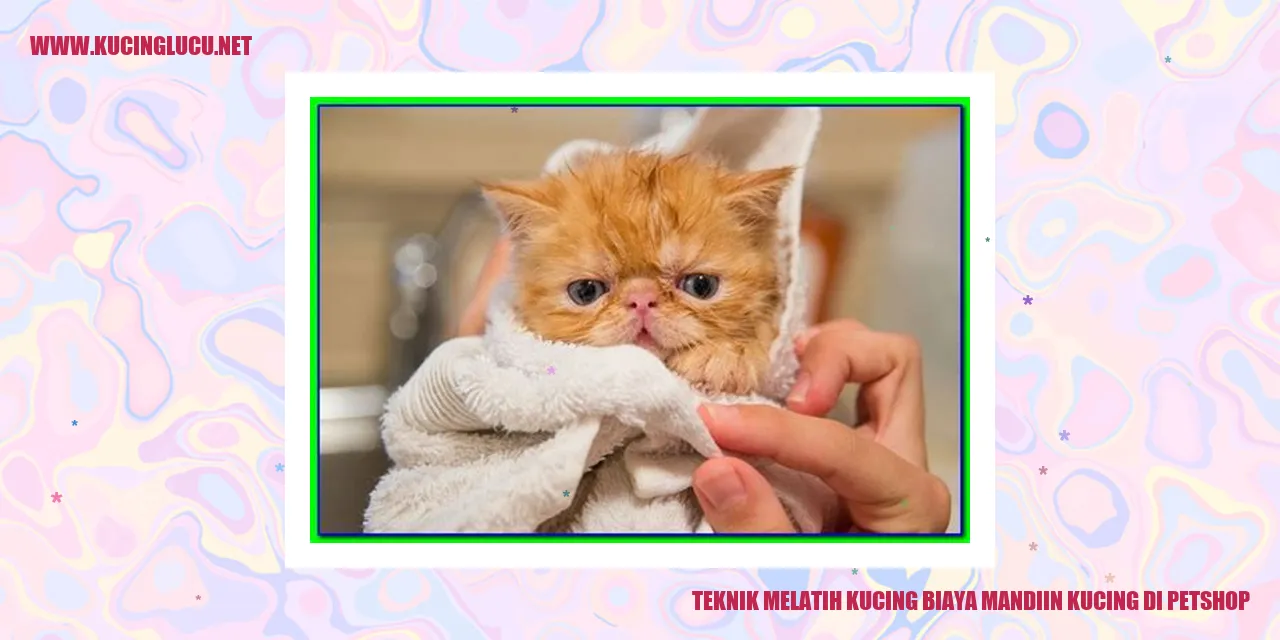 gambar kucing