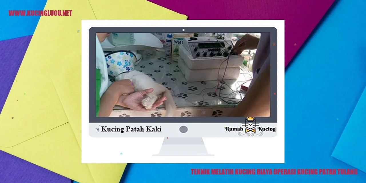 Gambar Kucing