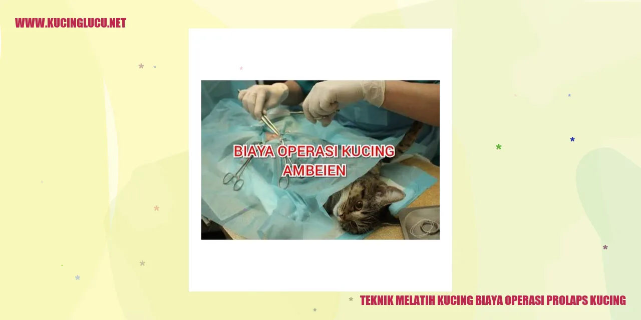 Gambar Kucing Terbang