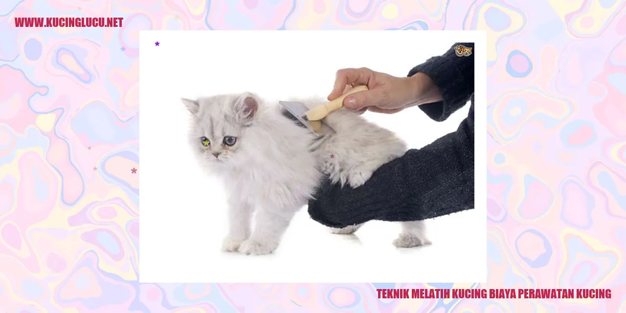 Gambar lucu kucing
