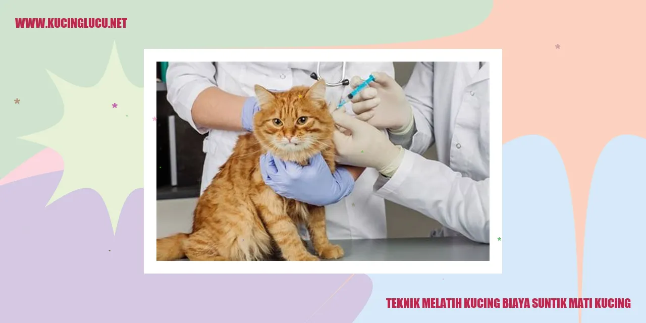 Gambar Kucing