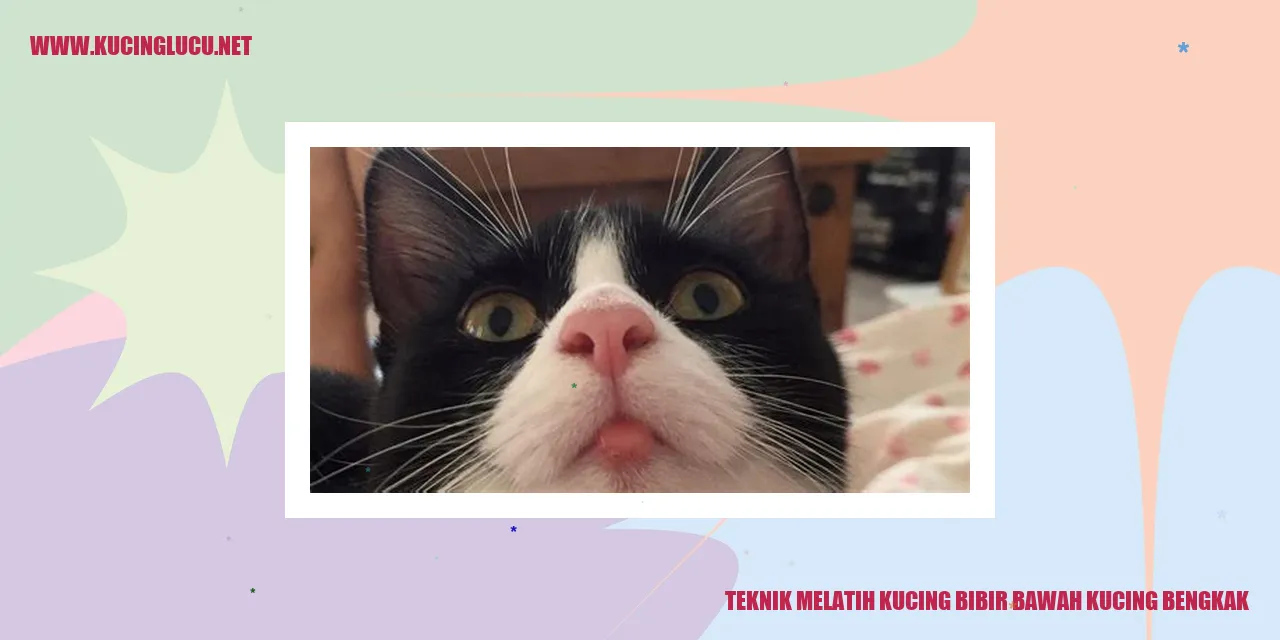 Teknik Melatih Kucing bibir bawah kucing bengkak