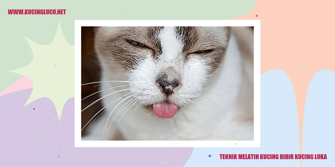 Melatih kucing bibir kucing luka