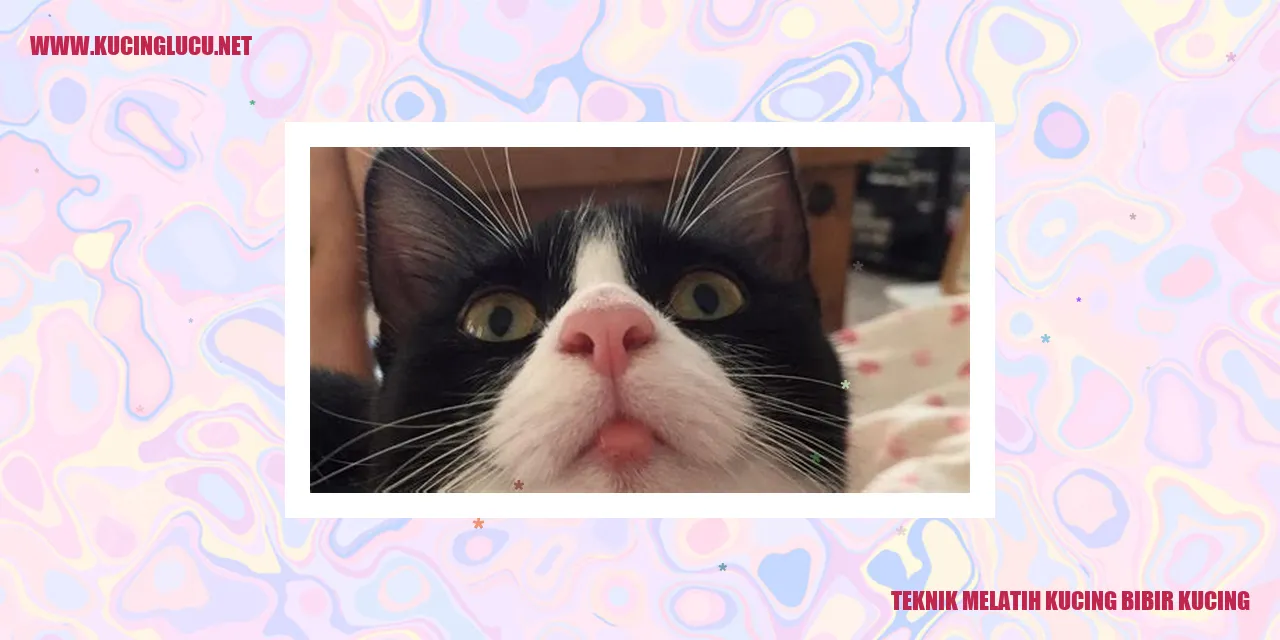 Kucing dengan bibir lucu