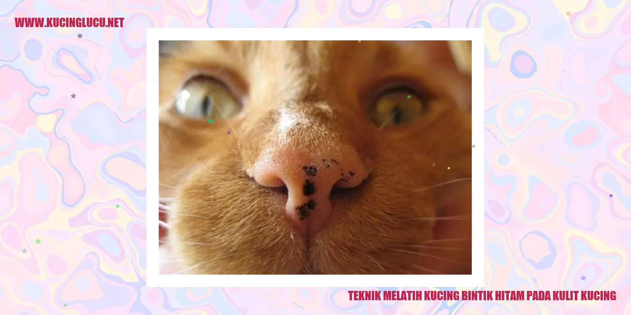 Teknik Melatih Kucing bintik hitam pada kulit kucing
